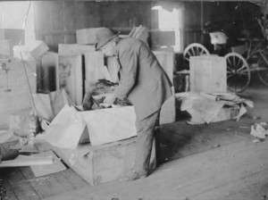 Horace Vose of Westerly, R.I., shipping a turkey to President Theodore Roosevelt for Thanksgiving. Photo courtesy Theodore Roosevelt Collection, Houghton Library, Harvard University.