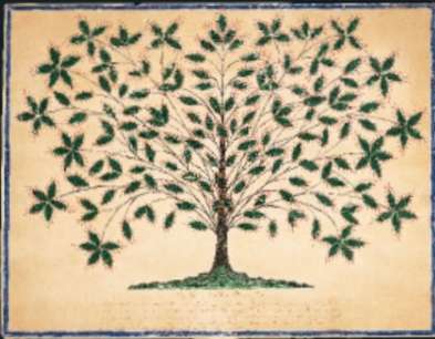 Hannah Cohoon, 'Tree of Life or Blazing Tree'
