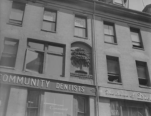 All that's left of Boston's Liberty Tree. Photo courtesy Boston Public Library, Leslie Jones Collection.