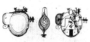 1800s Sketch of the American Turtle