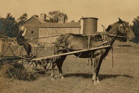 Jack driving a horse rake. "A small boy has difficulty keeping his seat on rough ground and this work is more or less dangerous," wrote Hine.