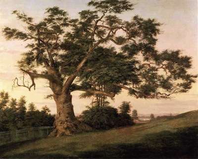 quarter-charter-oak