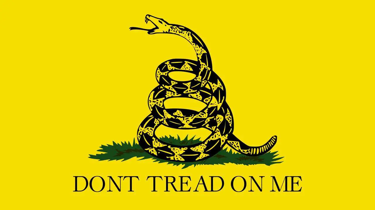 American Revolution Flag Taunton Flag Bundle 