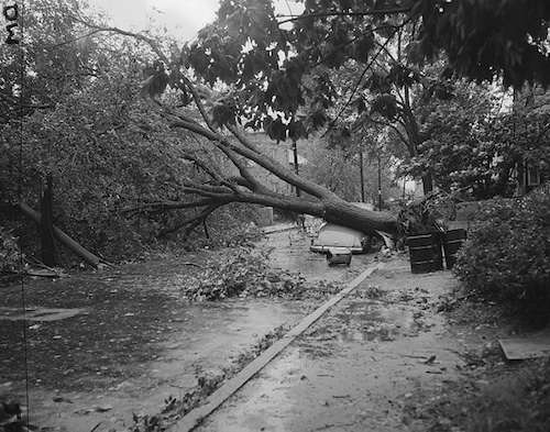 hurricane-carol-auto Thousands of automobiles like this one were destroyed by Hurricane Carol. Photo courtesy Boston Public Library, Leslie Jones Collection.