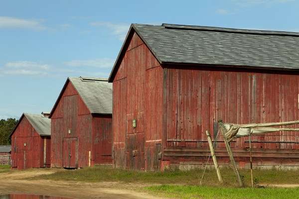 Six Historic Barns New England Historical Society