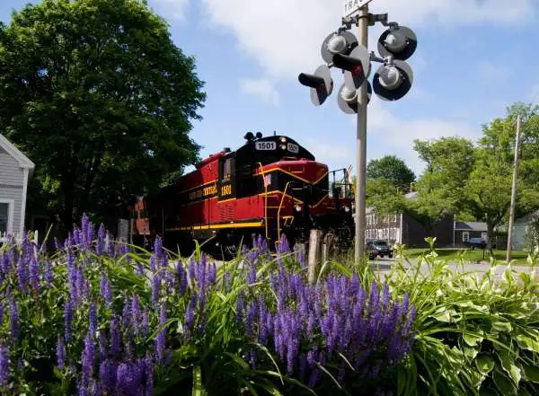 historic-train-ride-cape-cod-central-railroad