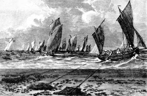 quahog-boats-dredging-oysters