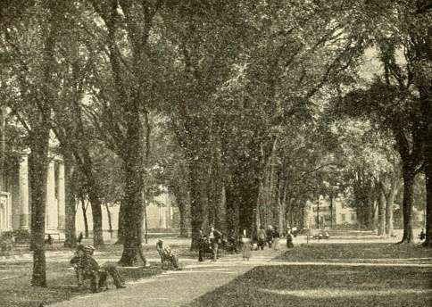new-haven-green