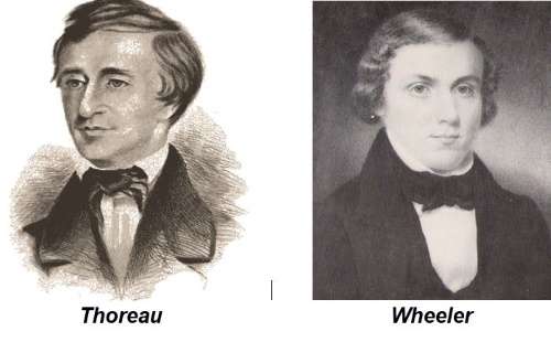 thoreau-wheeler