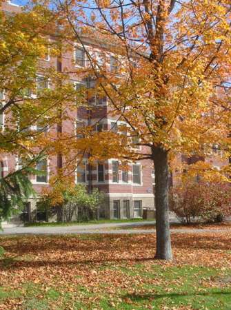hamlin-hall