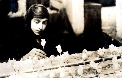 sadie-singer