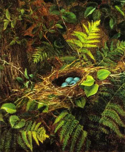nest
